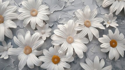 Many white flowers on blue surface