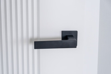 Modern black door handle on white wooden door in interior.