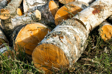 A pile of birch firewood lies on the grass. Chopped firewood stacked in a pile. Pile of logs for...