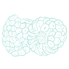 Elements illustration food color vegetable painting drawing 