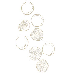 Elements illustration food color vegetable painting drawing 