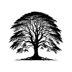 Black Vector Beech Tree Silhouette, Embracing Nature's Tranquility Amidst Dusk's Veil.- Beech Tree Illustration- Beech Tree Vector Stock.
