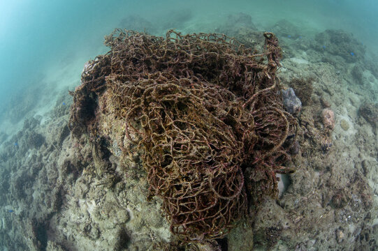 Abandoned debris fishing net or ghost net cover the coral reef in the sea. Clean up the ocean by collecting waste. Save the ocean and underwater world from trash pollution. Environmental conservation
