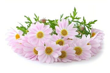 Fototapeta premium Colorful Wildflowers Arranged on White Background