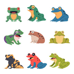 Frogs vector cartoon set isolated on a white background.