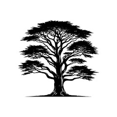 Black Vector Cypress Tree Silhouette, Nature's Guardian Standing Tall Amidst Darkness- Cypress Illustration- Cypress Vector Stock