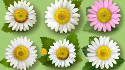 Fototapeta premium A vibrant and colorful arrangement of spring flowers neatly organized on a white background. Ideal for seasonal themes and decorative purposes.