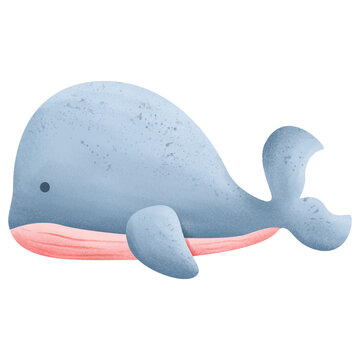 recommend clip art: nautical whale