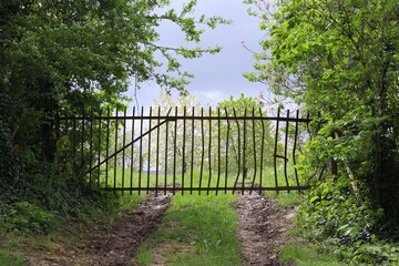 Old rusted fence with barbed wire
