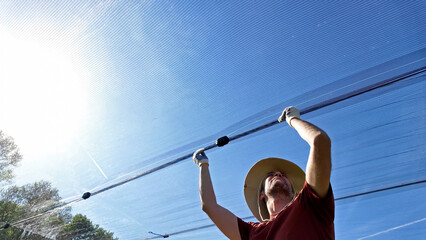 Farmer installing anti hail netting on a agricultural farm for protecting fruits, vegetables and crops from severe weather conditions.