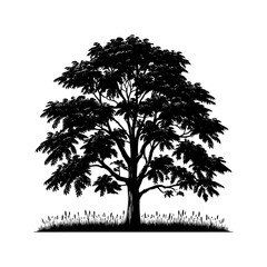 Black Vector Hickory Tree Silhouette, Nature's Sentinels Amidst Dusk's Shadowy Grasp- Hickory Tree Illustration- Hickory  Tree Vector Stock.