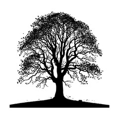 Black Vector Hickory Tree Silhouette, Nature's Sentinels Amidst Dusk's Shadowy Grasp- Hickory Tree Illustration- Hickory  Tree Vector Stock.
