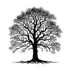 Fototapeta premium Black Vector Hickory Tree Silhouette, Nature's Sentinels Amidst Dusk's Shadowy Grasp- Hickory Tree Illustration- Hickory Tree Vector Stock.