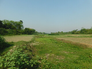 Nature, in the broadest sense, is the natural, physical, or material world or universe. "Nature" can refer to the phenomena of the physical world, and also to life in general.	