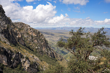 Sunny Valley Viewpoint. Rock Formations and Lonely Tree with view of Rural Peru - Huaraz, Peru...