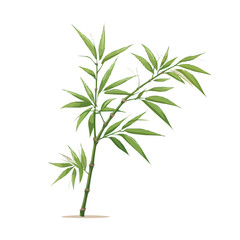 Bamboo | Minimalist and Simple Line White background - Vector illustration