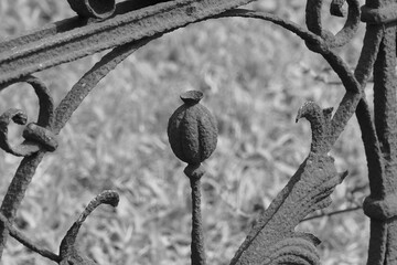 Black and white old luxury rust fence