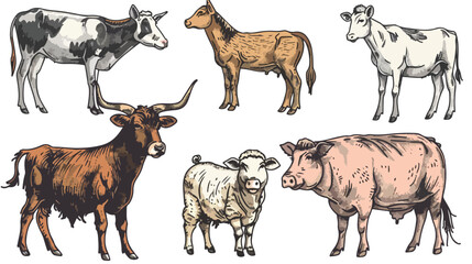 Farm animals collection. Vector illustration of hand