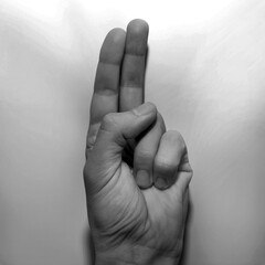 Letter U in American Sign Language (ASL) for deaf people
