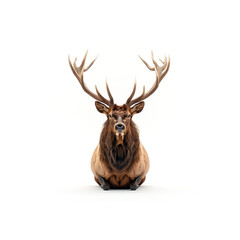 Deer With Large Antlers Sitting Down. Generative AI