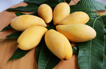 Golden yellow ripe mangoes arranged in circles on leaves and a wooden table.