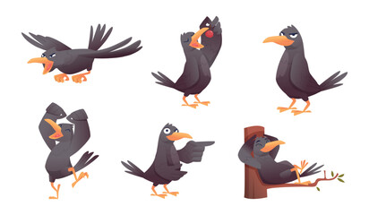 Naklejka premium Crows. Black birds flying and standing exact vector funny birds in action poses