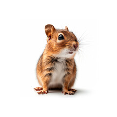 Small Brown and White Hamster Sitting on Hind Legs. Generative AI