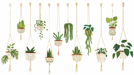 Hand drawn Macrame hangers for plants growing in pots