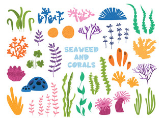 Underwater seaweed and corals. Ocean plants, isolated algae, sea stones and flowers. Nature elements, decorative aquarium classy vector clipart