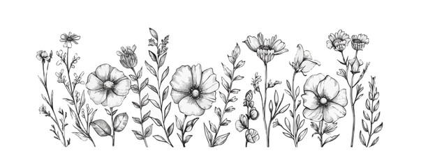 Wildflowers hand drawn sketch in doodle style. vector simple illustration