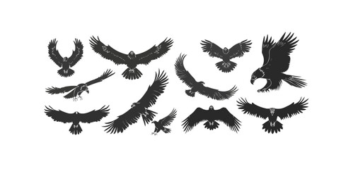Obraz premium Eagle silhouettes set, large pack of vector silhouette design, isolated white background