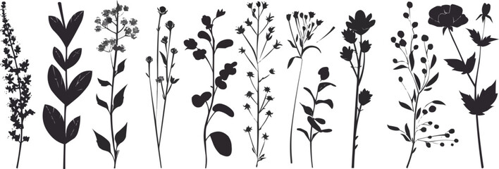 Set of elegant silhouettes of flowers, branches and leaves. Thin hand drawn vector botanical elements - obrazy, fototapety, plakaty