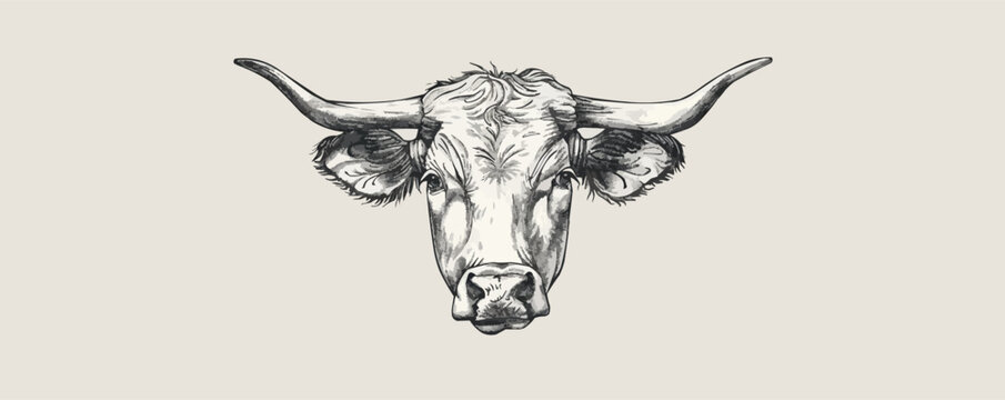 A cow with horns is the main focus of the image