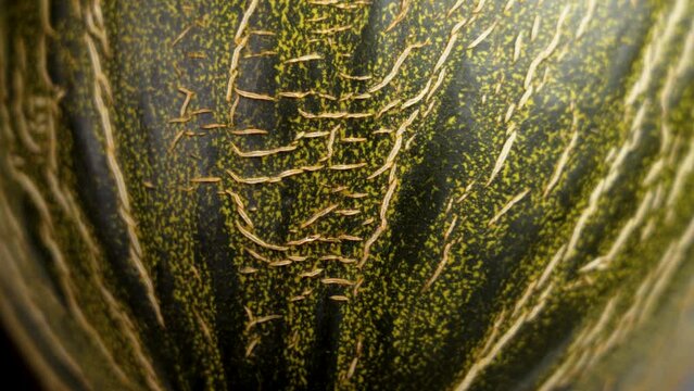 Natural patterned texture of ripe melon peel close up. Cracked abstract surface. Rotation