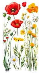 Fototapeta premium Flat lay view of various pressed colorful flowers and green leaves artistically arranged on a clean white background, perfect for crafting and decor.