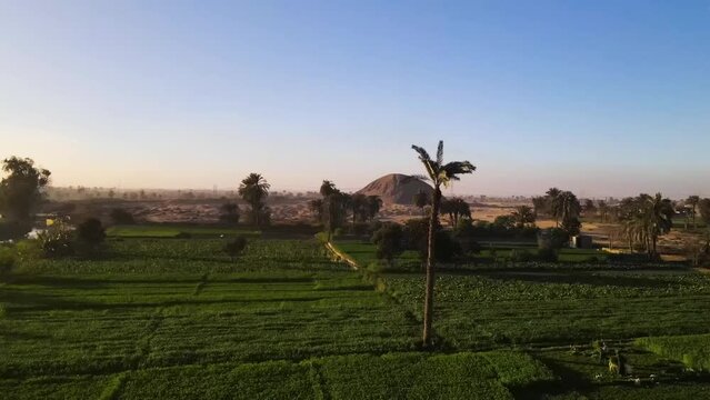 Aerial over Luxor's verdant plains, where lush landscapes echo the enduring fertility of the Nile's banks.