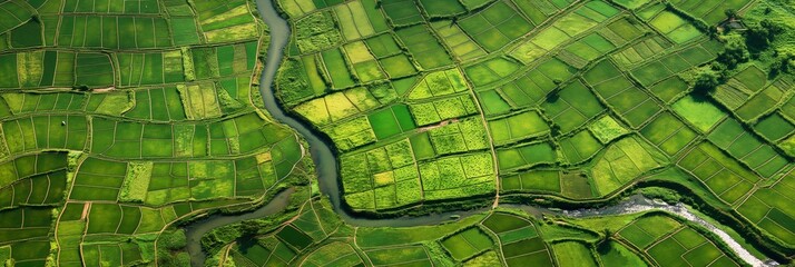 Obraz premium Stunning aerial panoramic view of vibrant green rice terraces with meandering water streams in rural countryside