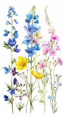 Assorted Pressed Flowers and Leaves Arranged on White Background. Flat lay view of colorful flowers and green leaves artistically arranged on a clean white background, perfect for crafting and decor.