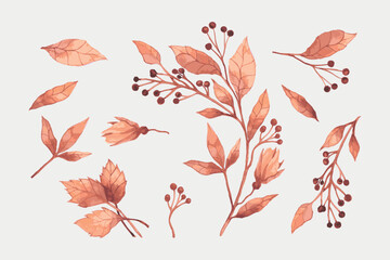 Set of colorful autumn leaves. Vector illustration. vector set of autumn watercolor leaves and berries, hand drawn design elements - obrazy, fototapety, plakaty