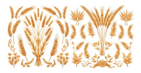 Wheat rye ears cartoon vector collection. Malt grains barley organic stems shoots food bread hops agricultural cereals heraldic symbol seeds, illustration isolated on white background