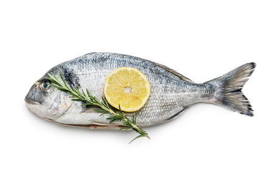 Fresh sea bream fish, rosemary and lemon isolated on white background.