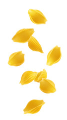 Falling raw Conchiglie Rigate, uncooked Italian Pasta, isolated on white background, full depth of field