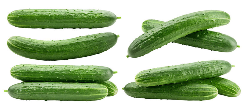 Cucumber isolated on white background, full depth of field