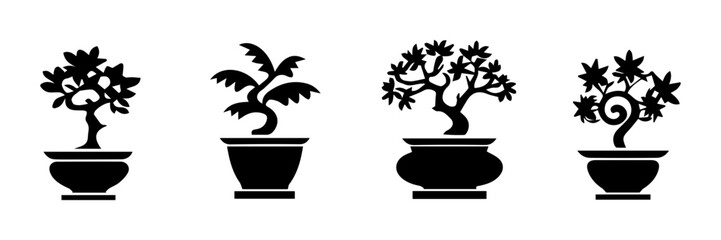 plant in pots