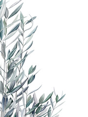 Watercolor olive branch, Watercolor olive leaves, Transparent background, Illustration of olive tree branch, Olive leaves branch painting, Peace Symbol, Olive leaves on transparent background