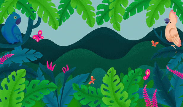 Illustration of tropical birds and rainforest