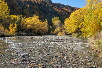 A beautiful natural landscape of the Arrow River. winding and rocky riverbanks with flowing water and golden autumn trees. It is a popular travel destination and tourist attraction in New Zealand.