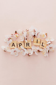 Wooden letter tiles surrounded by apricot blossoms