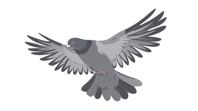 Flying pigeon flat vector illustration. Free animal