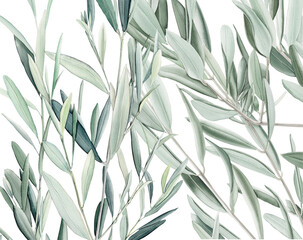Watercolor olive branch, Watercolor olive leaves, Transparent background, Illustration of olive tree branch, Olive leaves branch painting, Peace Symbol, Olive leaves on transparent background